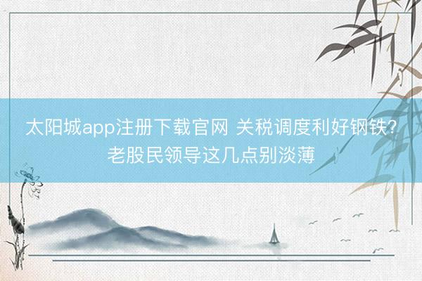 太阳城app注册下载官网 关税调度利好钢铁？老股民领导这几点别淡薄