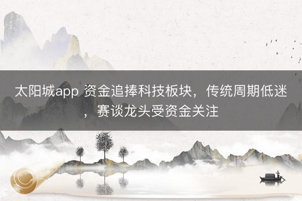 太阳城app 资金追捧科技板块，传统周期低迷，赛谈龙头受资金关注